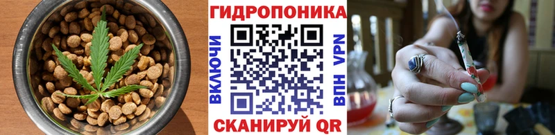 сайты даркнета телеграм  Катав-Ивановск  МЕГА ссылки  Canna-Cookies конопля  купить наркотик 