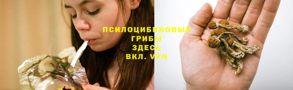 МДПВ Абинск