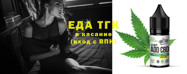 гашик Болотное