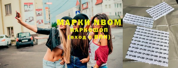 гашик Болотное
