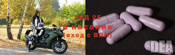 гашик Абаза