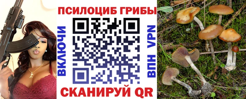 Псилоцибиновые грибы мицелий Катав-Ивановск